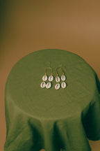 Shell Earrings