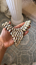 Shell Necklace